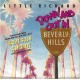 LITTLE RICHARD - Down and out in Beverly Hills
